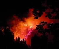  ARCA pide al Gobierno medidas valientes contra los incendios forestales