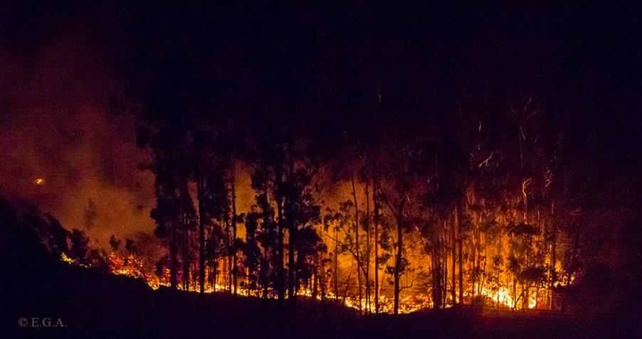 Riocorvo a las 19.38 (28-12-2015) / Foto cortesía de ENRIQUE GUTIÉRREZ ARAGÓN