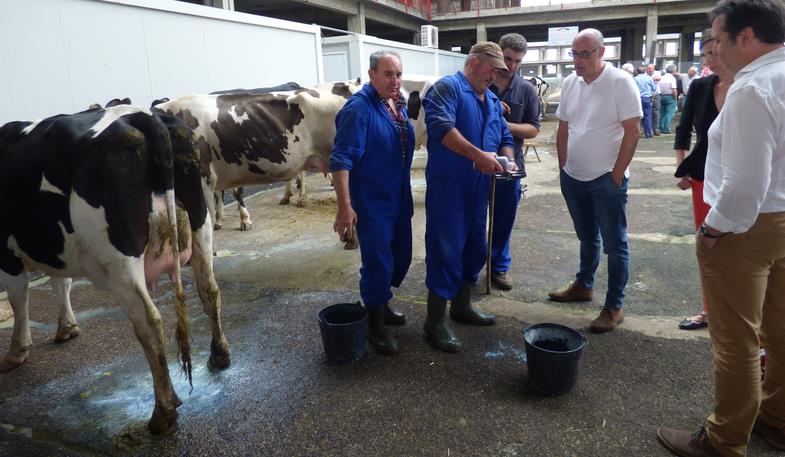 El candidato de Ciudadanos al Congreso, Félix Álvarez, visita el Ferial de Torrelavega