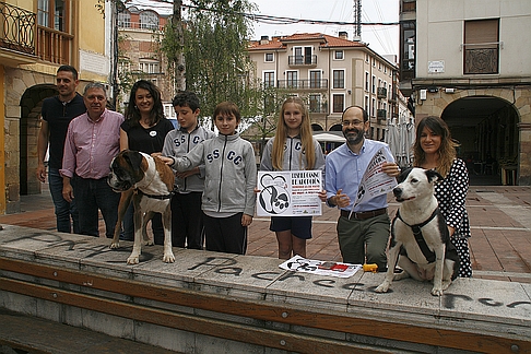 La Llama albergará el ‘Desfile Canino de Adopción’