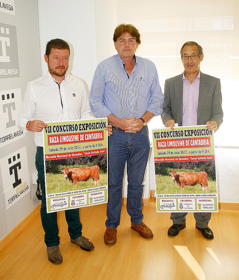 Veintidós ganaderías participarán en el VII Concurso Exposición Raza Limousine de Cantabria que tendrá lugar en el MNG