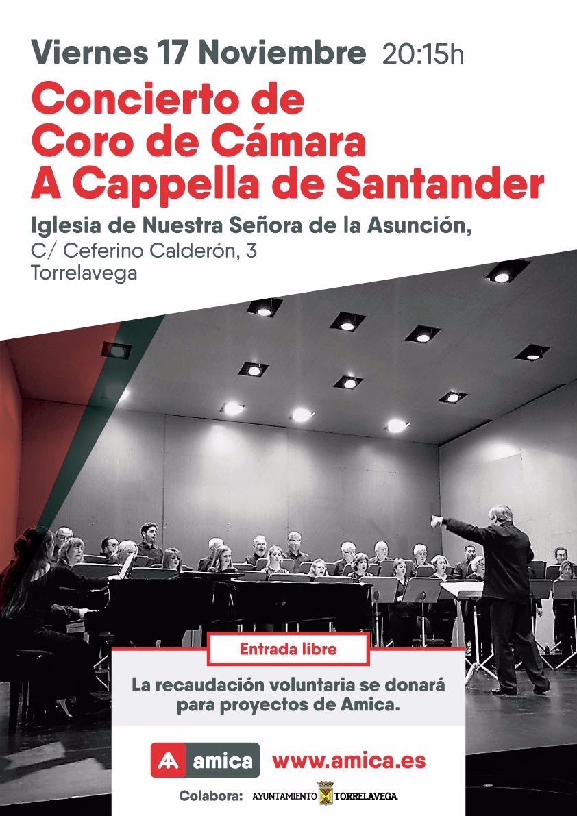 La Iglesia de la Asunción acogerá un concierto a beneficio de AMICA