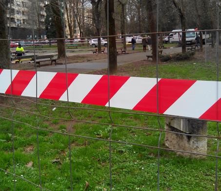  Arrecian las críticas contra la tala de árboles en el parque Manuel Barquín