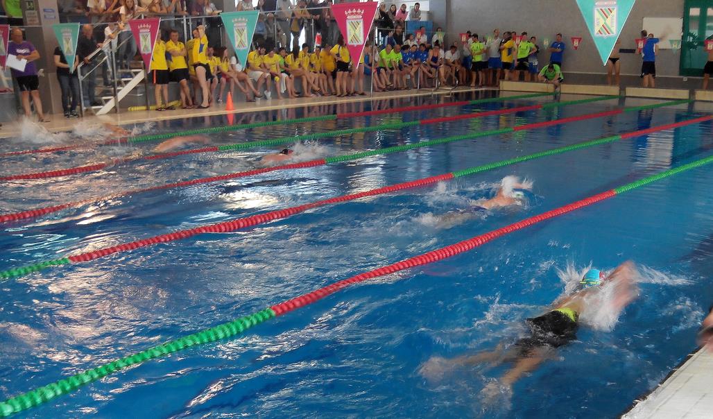 Más de doscientos nadadores participaron en el VI Trofeo Open Máster de Natación ‘Ciudad de Torrelavega’