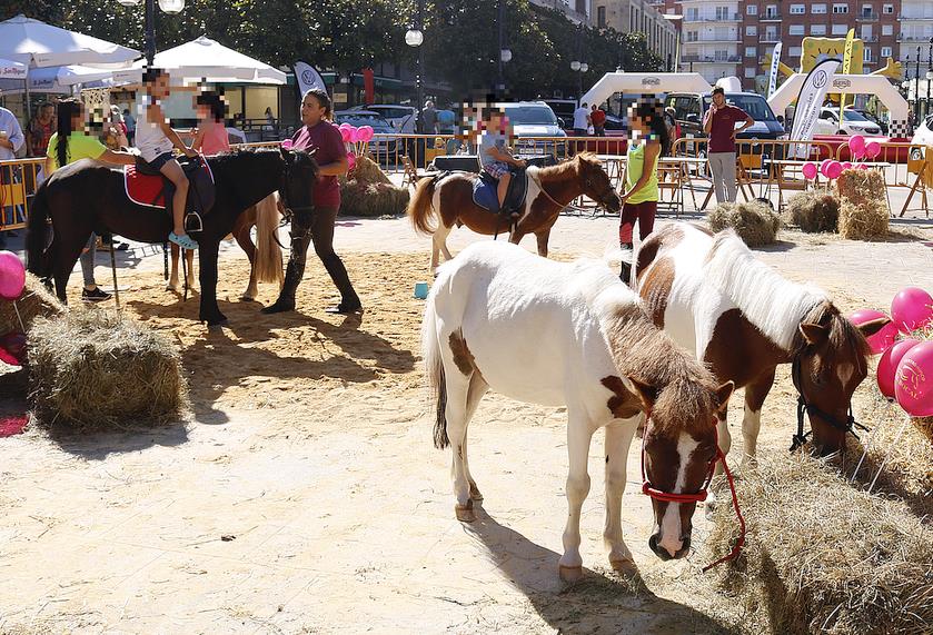  ACPT critica la utilización de animales en el evento «Torrelavega se divierte»