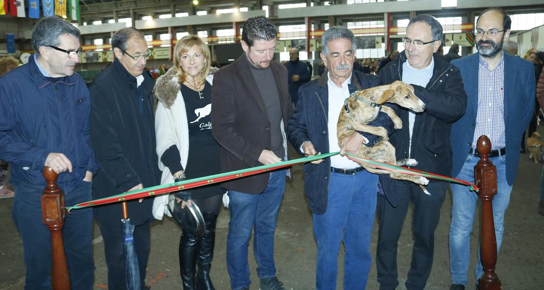 Torrelavega celebra la III Feria de Adopción Responsable de animales