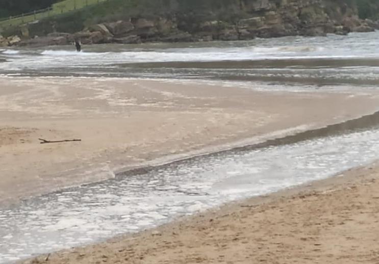  C’s Suances denuncia nuevos vertidos en la playa de La Concha