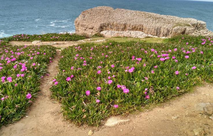  Suances trabaja en conseguir que sus playas sean más accesibles e inclusivas