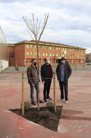  Árboles para el patio del colegio Mies de Vega