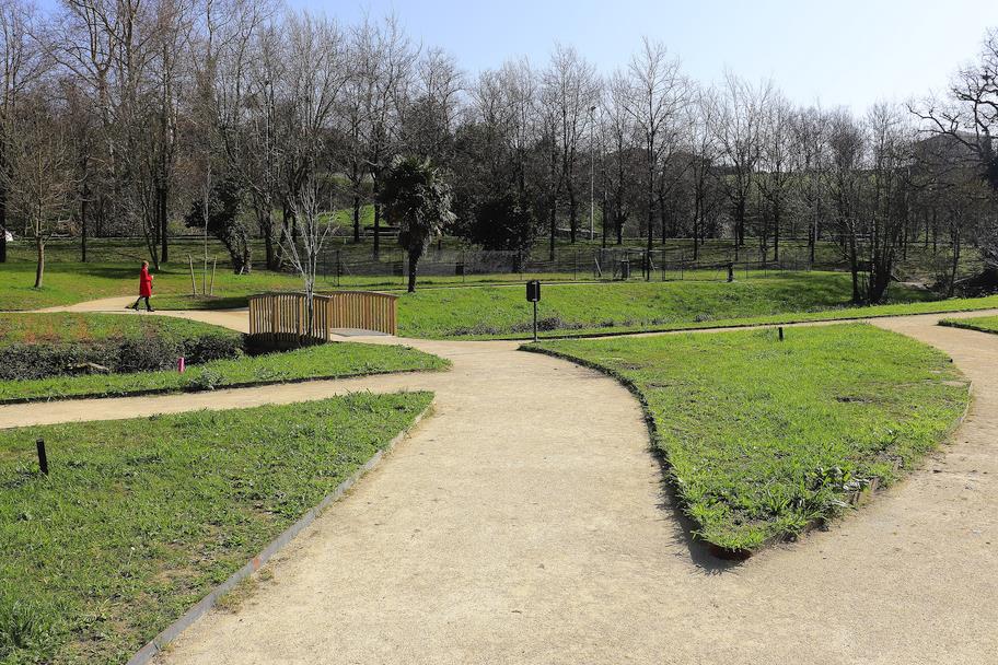  Plantado el primer árbol del Parque Miravalles, nuevo «pulmón verde» de Torrelavega