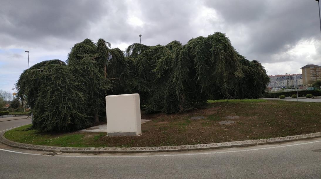  Torrelavega Sí reclama mantenimiento del patrimonio artístico del Bulevar Ronda