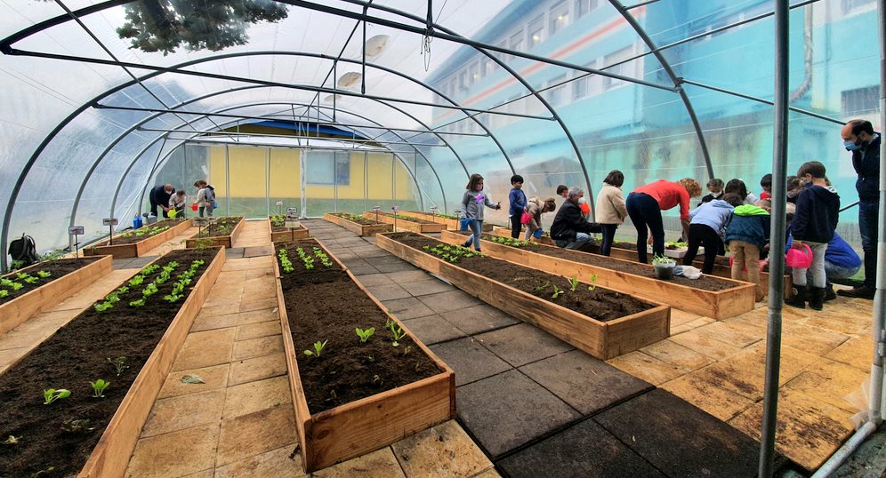  El colegio Pintor Escudero Espronceda pone en marcha un huerto ecológico en invernadero
