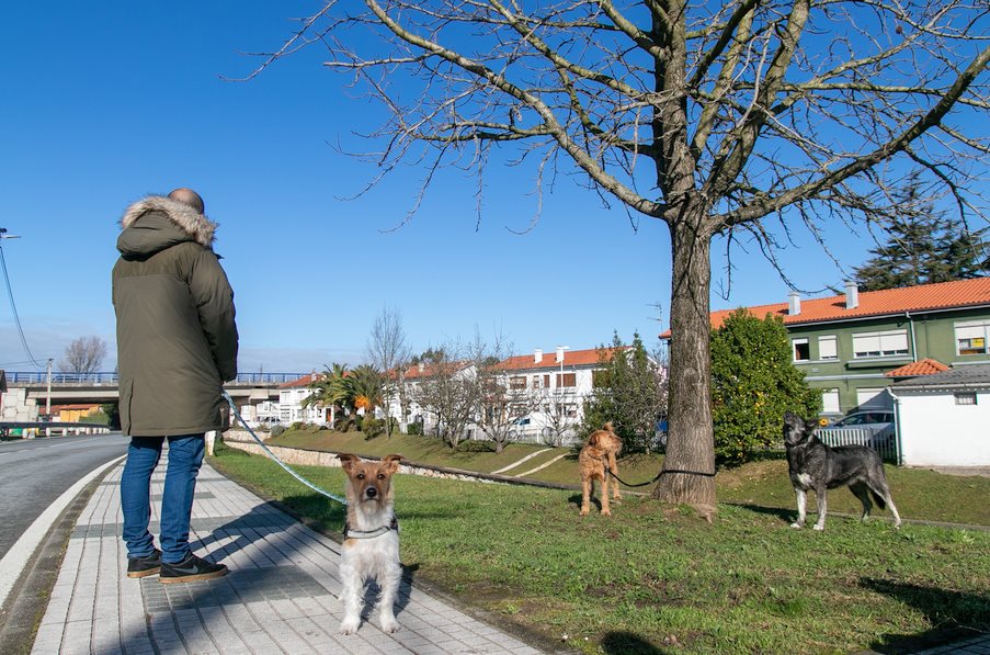  La Justicia desestima un recurso contra la ordenanza de bienestar animal de Polanco