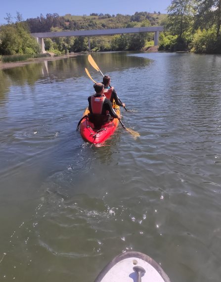  800 personas participarán en las rutas guiadas en canoa y paddle surf por el río Saja-Besaya