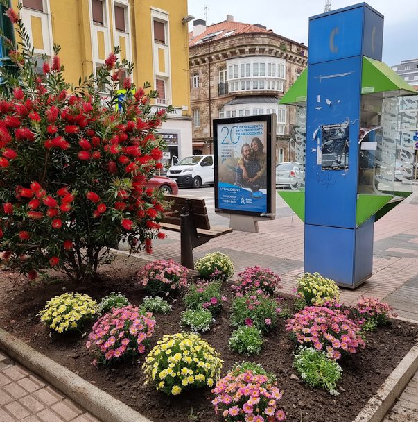  Torrelavega tendrá 35.000 nuevas plantas y flores en sus calles