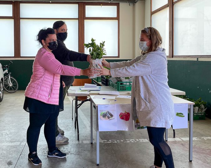  Polanco ha repartido esta primavera 9.800 plantas en la campaña de iniciación a los huertos naturales