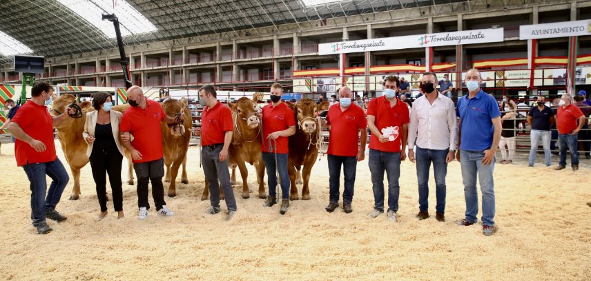 Blanco destaca el excelente nivel de la calidad del ganado limusín de Cantabria, “un auténtico referente en toda España”