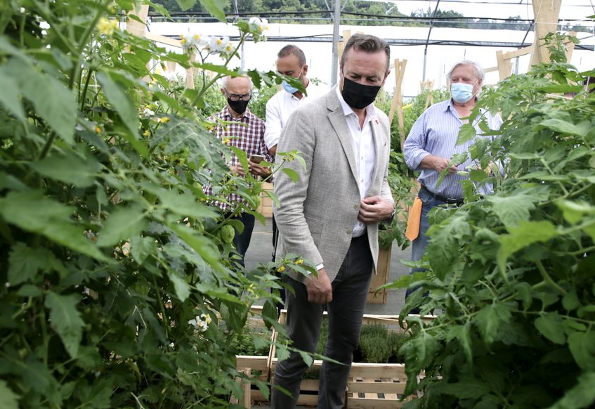  El Gobierno participará este verano en Torrelavega en el Festival del Tomate de Cantabria con un espacio dedicado a la producción forestal