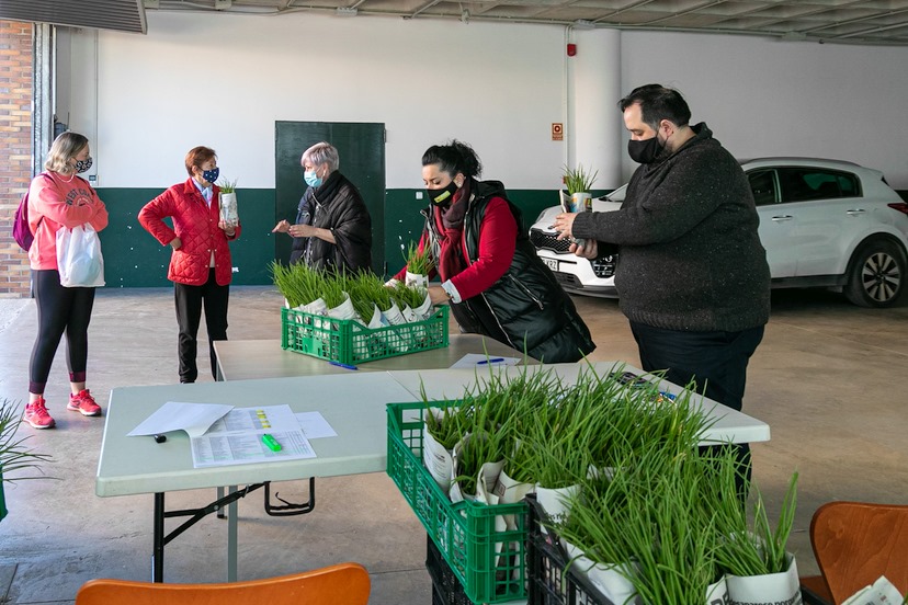 Polanco prevé repartir más de 10.000 plantas de hortalizas entre sus vecinos en la campaña de huertos naturales