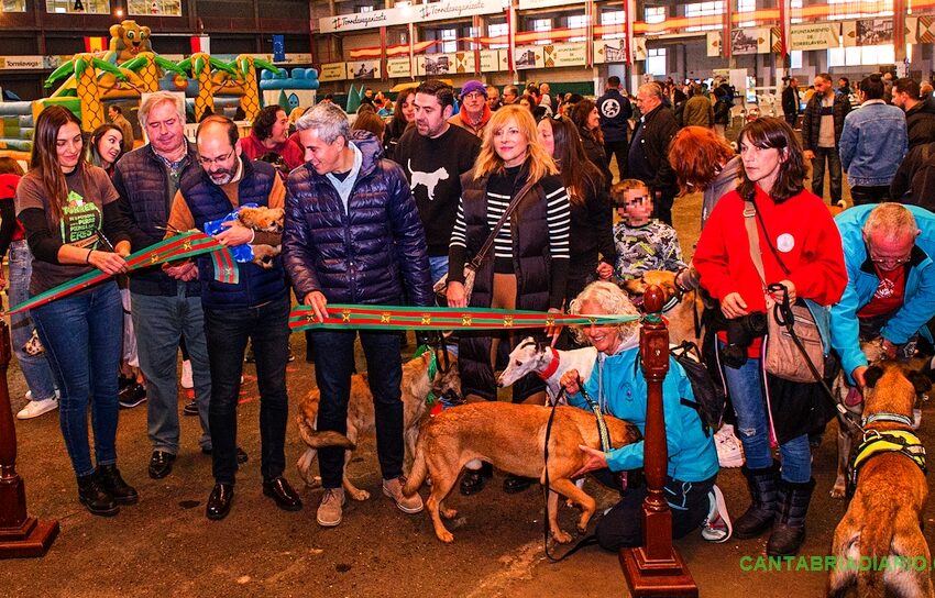 Cincuenta perros desfilan en la V Feria de la Adopción Responsable de Torrelavega