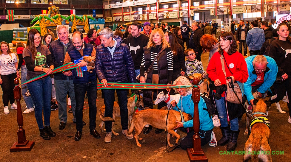 Cincuenta perros desfilan en la V Feria de la Adopción Responsable de Torrelavega