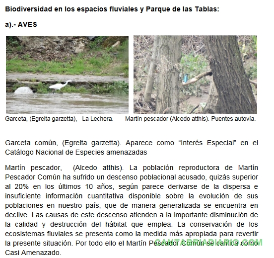  Los ecologistas presentan alegaciones al ANEI de la ría San Martín