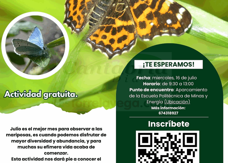 El 16 de julio nueva actividad gratuita sobre las mariposas dentro de ‘Torrelavega Conexión Natural’