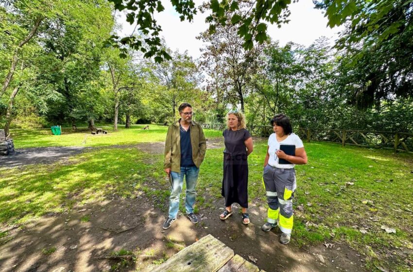 Medio Ambiente inicia la mejora de la zona de barbacoas del Parque de La Viesca
