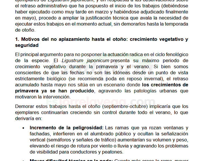  El Ayuntamiento de Torrelavega justifica técnicamente la poda iniciada en mayo en 200 arbustos de la ciudad